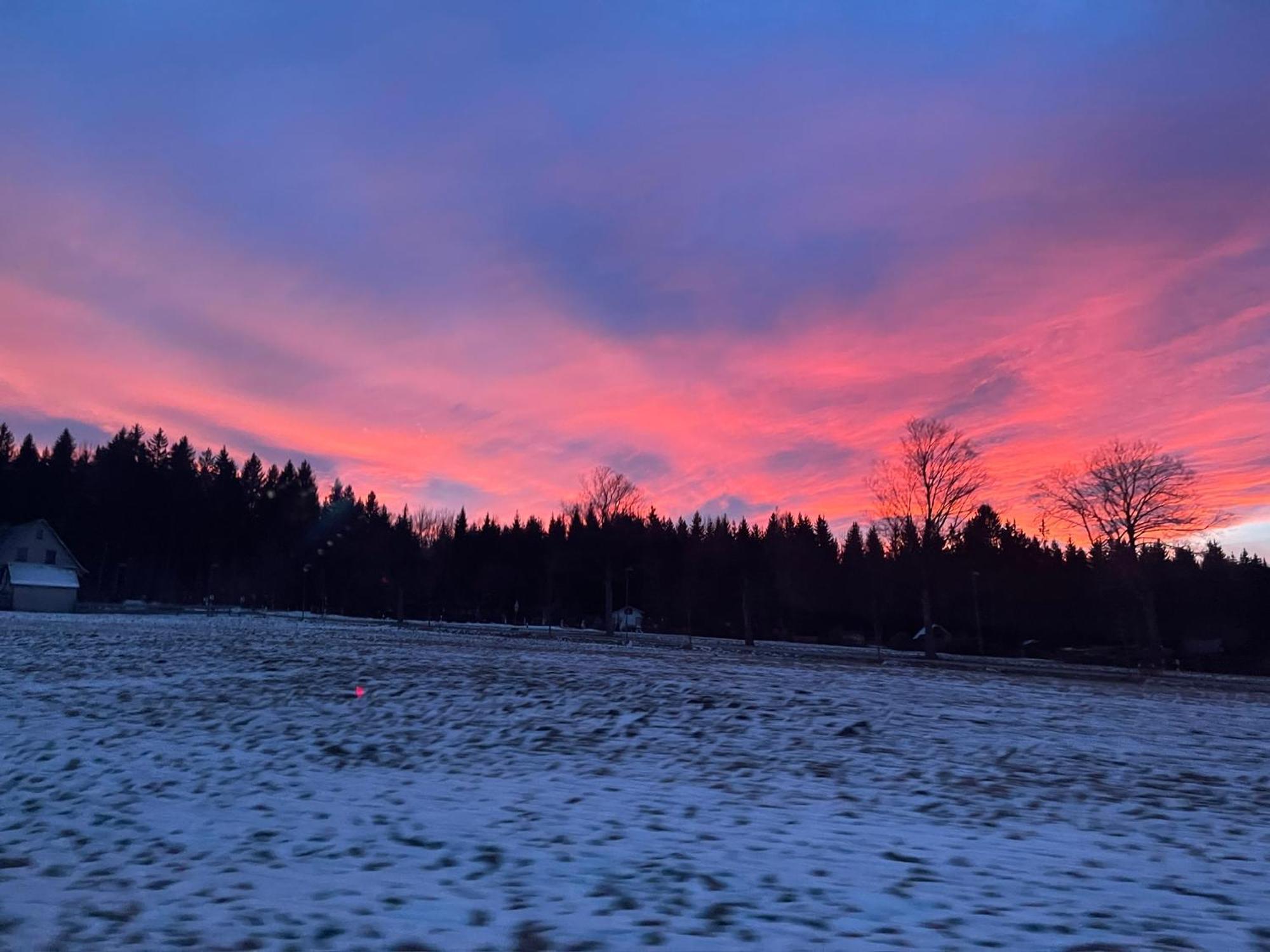 Waldhotel Zoebischhaus Bad Reiboldsgruen Luaran gambar