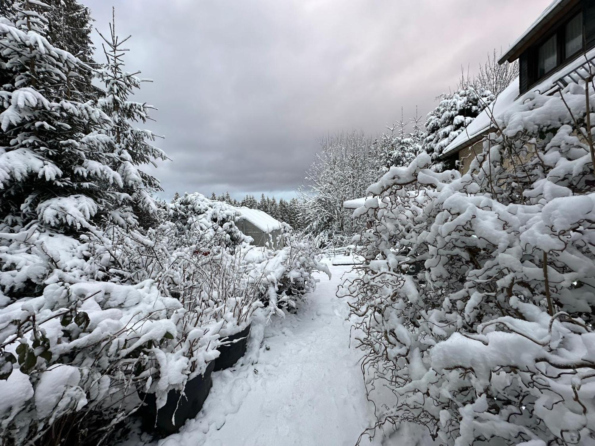 Waldhotel Zoebischhaus Bad Reiboldsgruen Luaran gambar