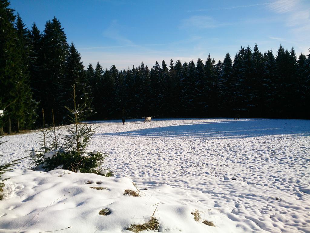 Waldhotel Zoebischhaus Bad Reiboldsgruen Luaran gambar